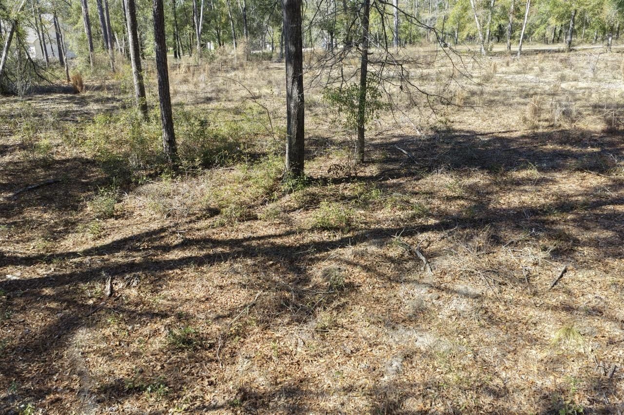 Vacant Oakwood Way , Madison, FL 32350 Photo