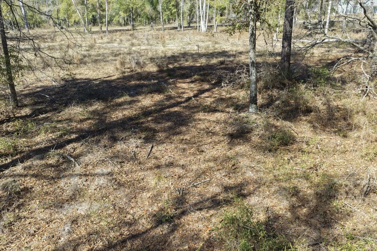 Vacant Oakwood Way , Madison, FL 32350 Photo