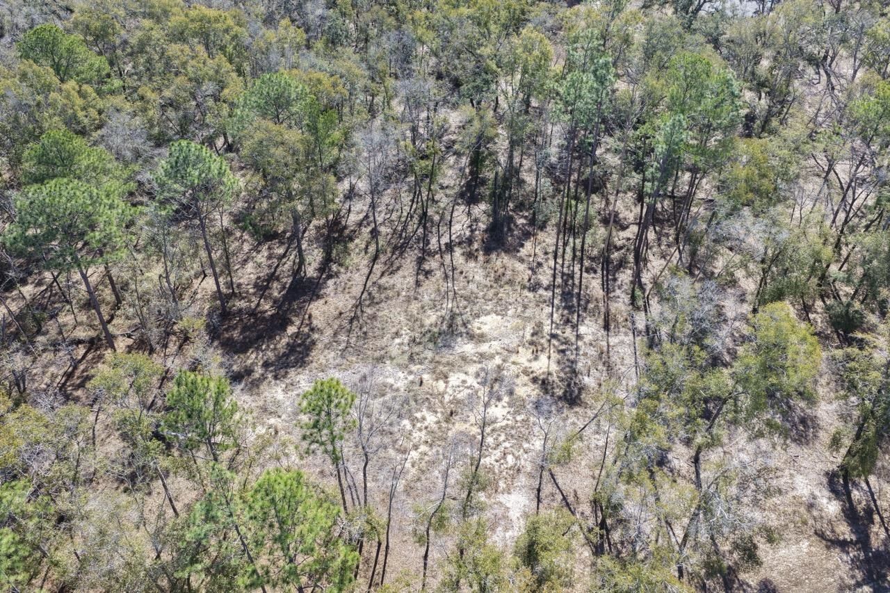 Vacant Oakwood Way , Madison, FL 32350 Photo