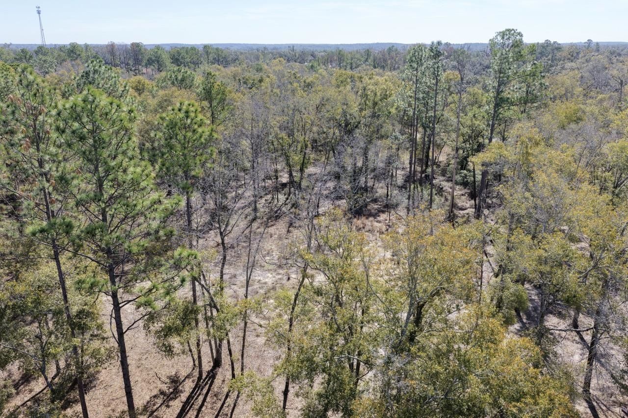 Vacant Oakwood Way , Madison, FL 32350 Photo