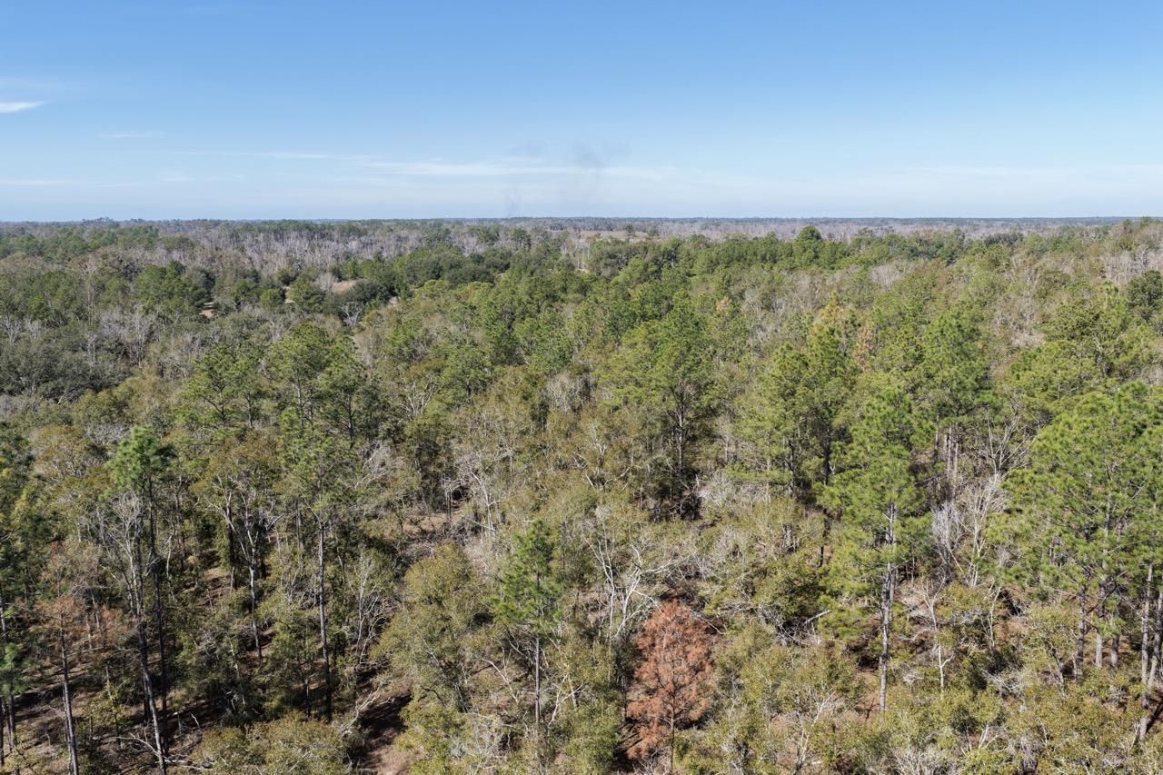 Vacant Oakwood Way , Madison, FL 32350 Photo