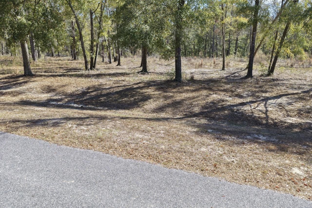 Vacant Oakwood Way , Madison, FL 32350 Photo