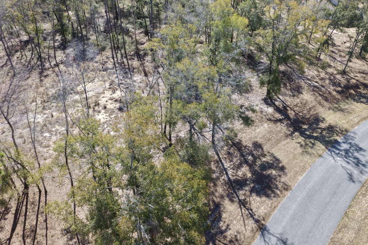 Vacant Oakwood Way , Madison, FL 32350 Photo