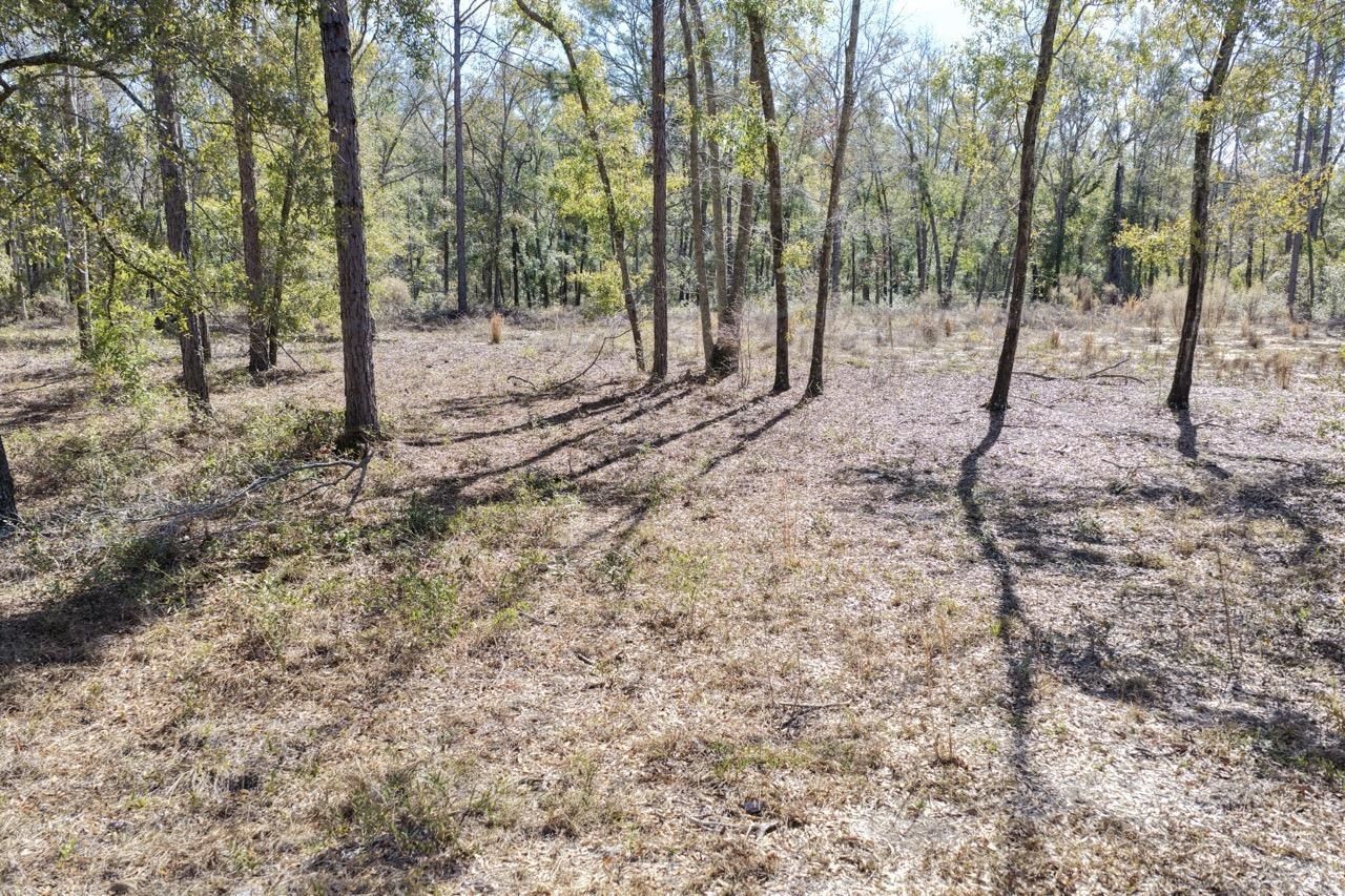 Vacant Oakwood Way , Madison, FL 32350 Photo