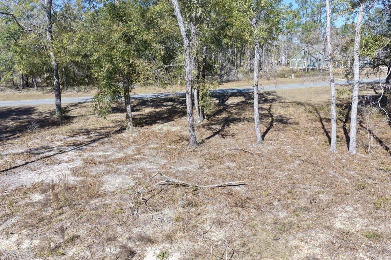 Vacant Oakwood Way , Madison, FL 32350 Photo