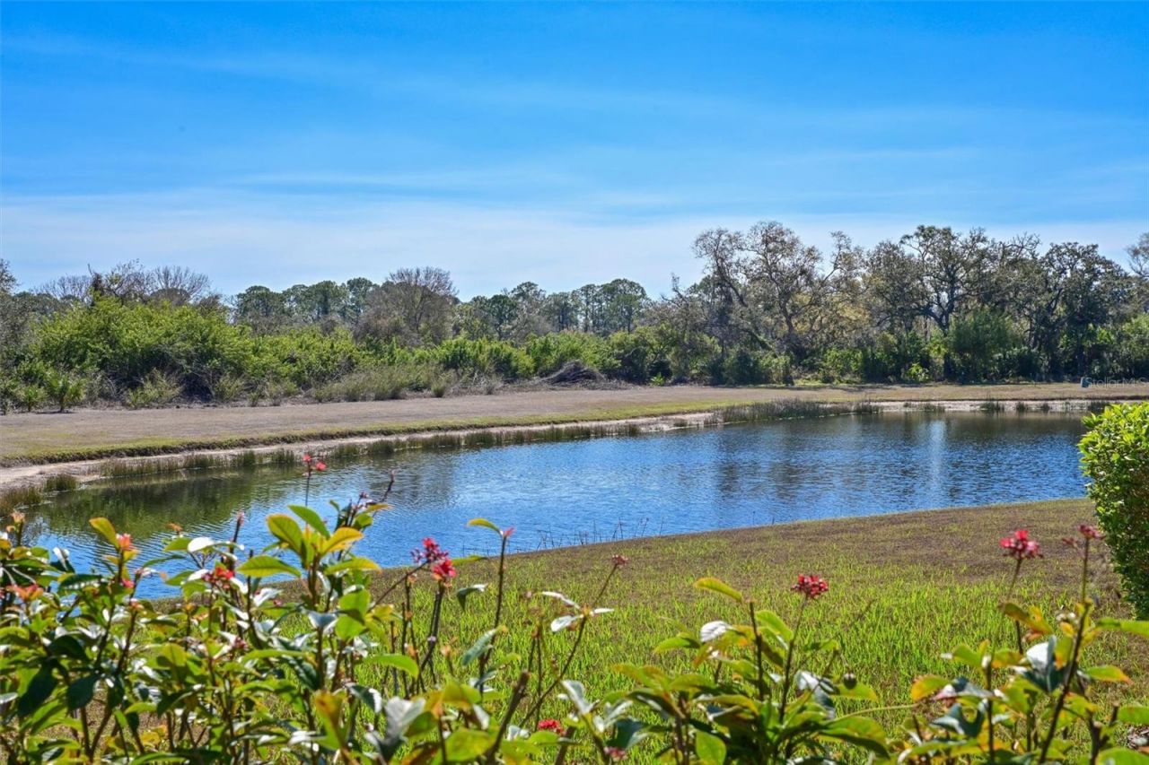 12246 Clubhouse Drive, Lakewood Ranch, FL 34202 Photo