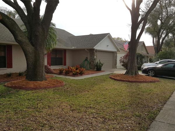 15005 REDCLIFF DRIVE , TAMPA, FL 33625