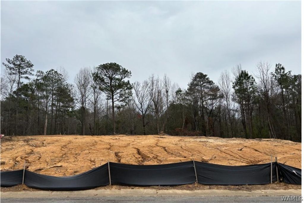 00 River Point Lane , Tuscaloosa, AL 35405 Main Photo