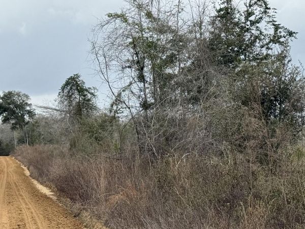 0000 Christmas Road , Campbellton, FL 32426