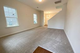 738 Pebblebranch Lane photo 4