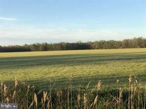 241 Pennsville Auburn Road Lot 2 Road, Pedricktown, NJ 08067 Main Photo