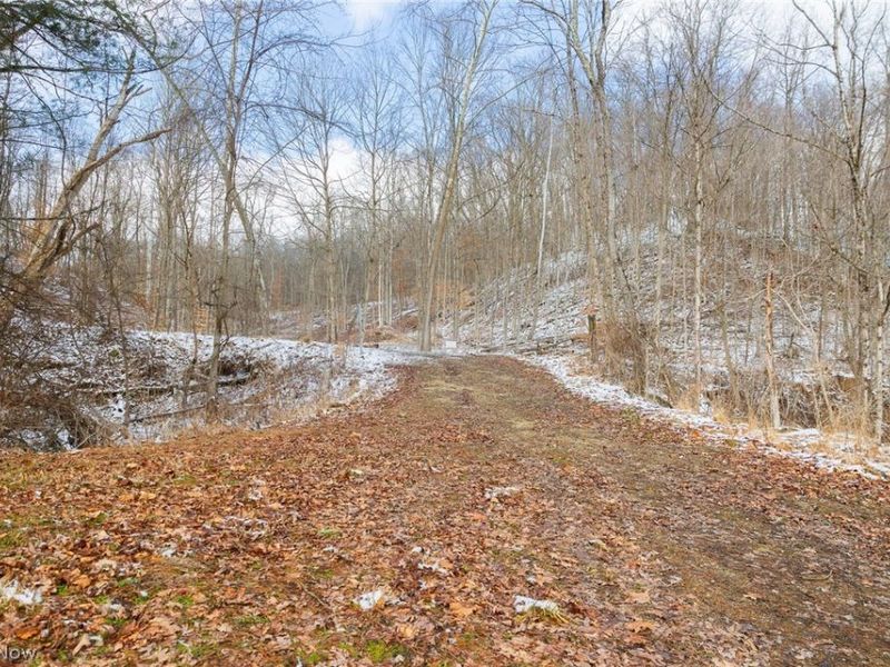 15500 Hunter Road, Danville, OH 43014 Photo 12