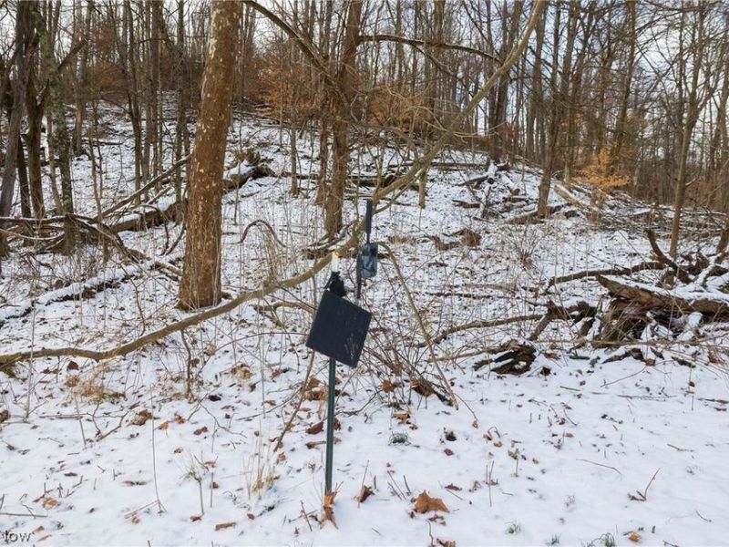 15500 Hunter Road, Danville, OH 43014 Photo 15