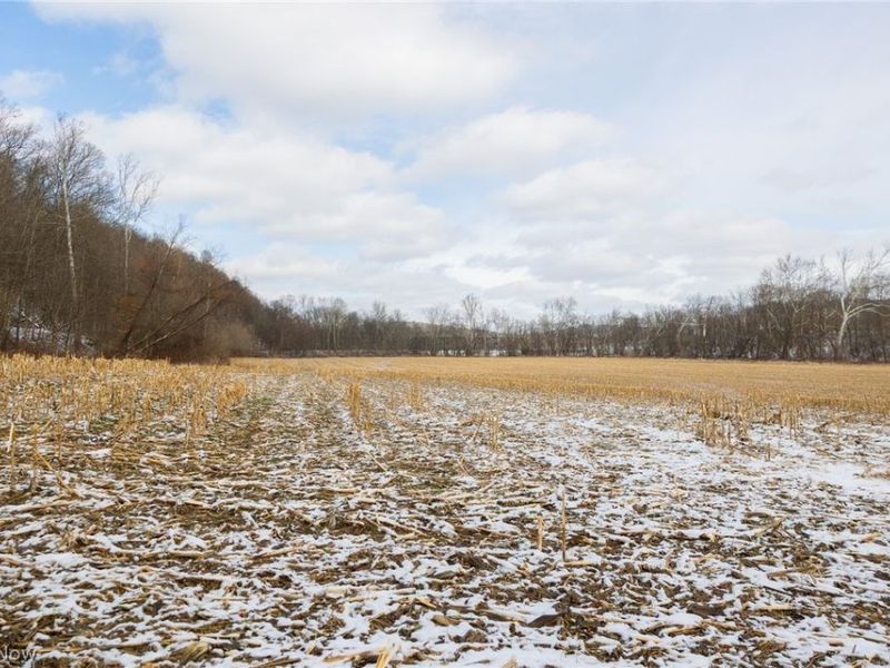 15500 Hunter Road, Danville, OH 43014 Photo 19