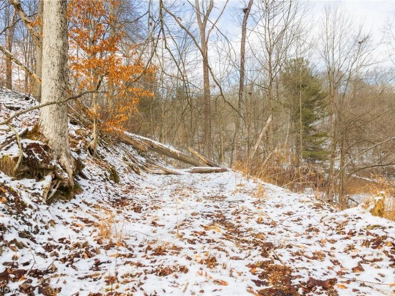 15500 Hunter Road, Danville, OH 43014 Photo 2