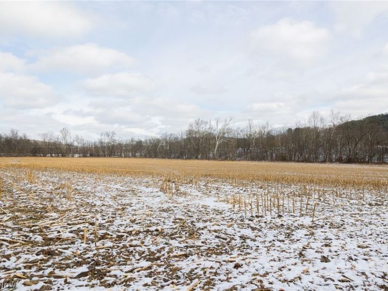 15500 Hunter Road, Danville, OH 43014 Photo 20