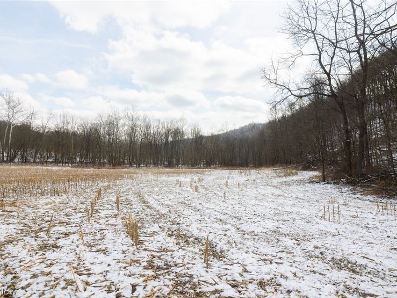 15500 Hunter Road, Danville, OH 43014 Photo 21