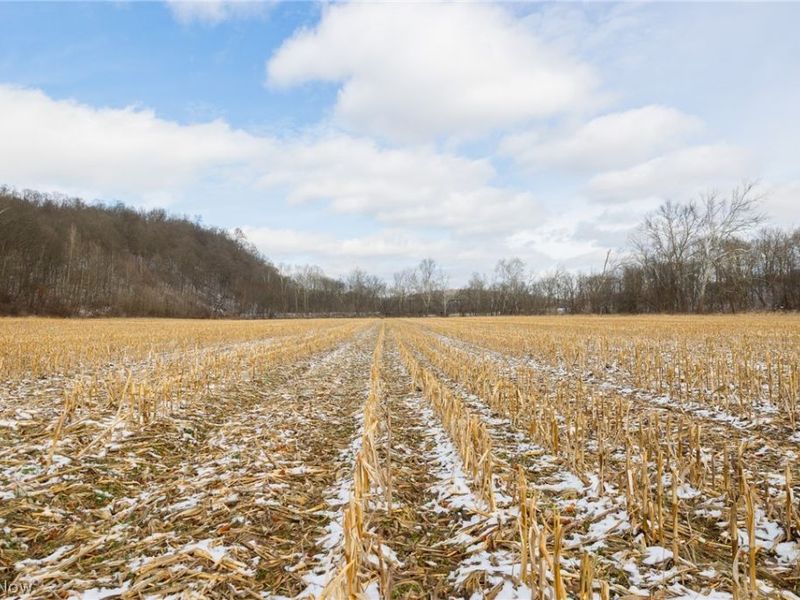 15500 Hunter Road, Danville, OH 43014 Photo 22