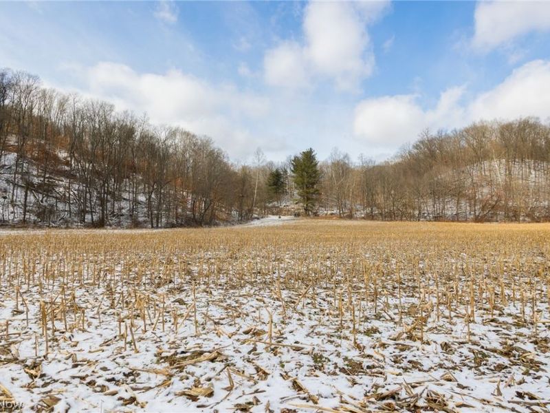 15500 Hunter Road, Danville, OH 43014 Photo 23