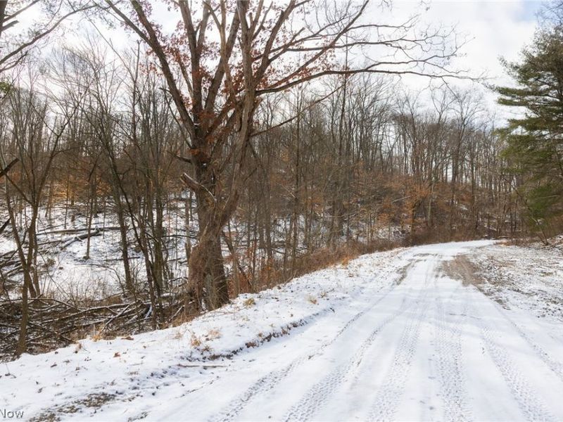 15500 Hunter Road, Danville, OH 43014 Photo 27