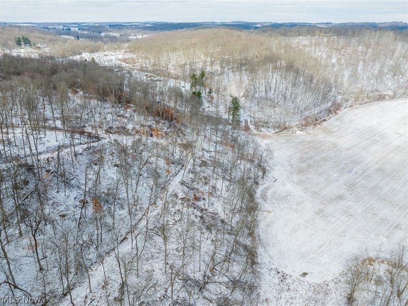 15500 Hunter Road, Danville, OH 43014 Photo 39