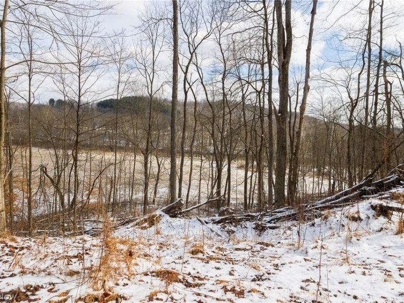 15500 Hunter Road, Danville, OH 43014 Photo 6