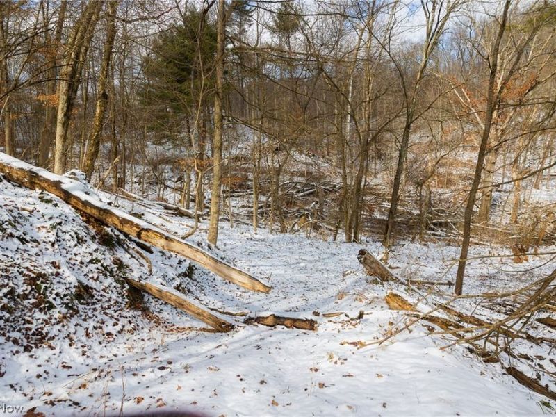 15500 Hunter Road, Danville, OH 43014 Photo 7