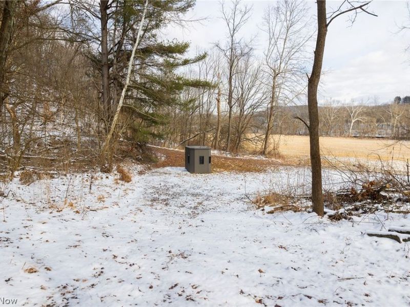 15500 Hunter Road, Danville, OH 43014 Photo 8