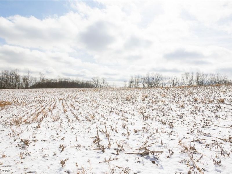 15550 Hunter Road, Danville, OH 43014 Photo 10