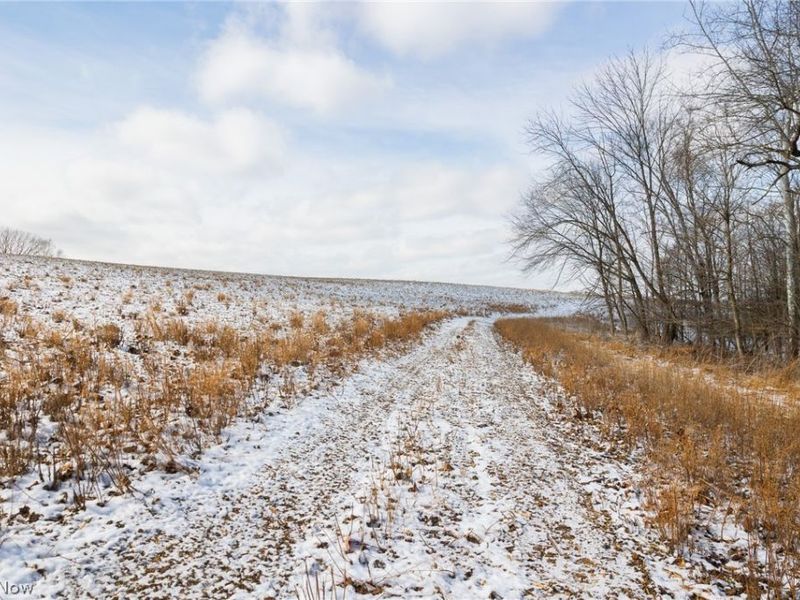 15550 Hunter Road, Danville, OH 43014 Photo 11