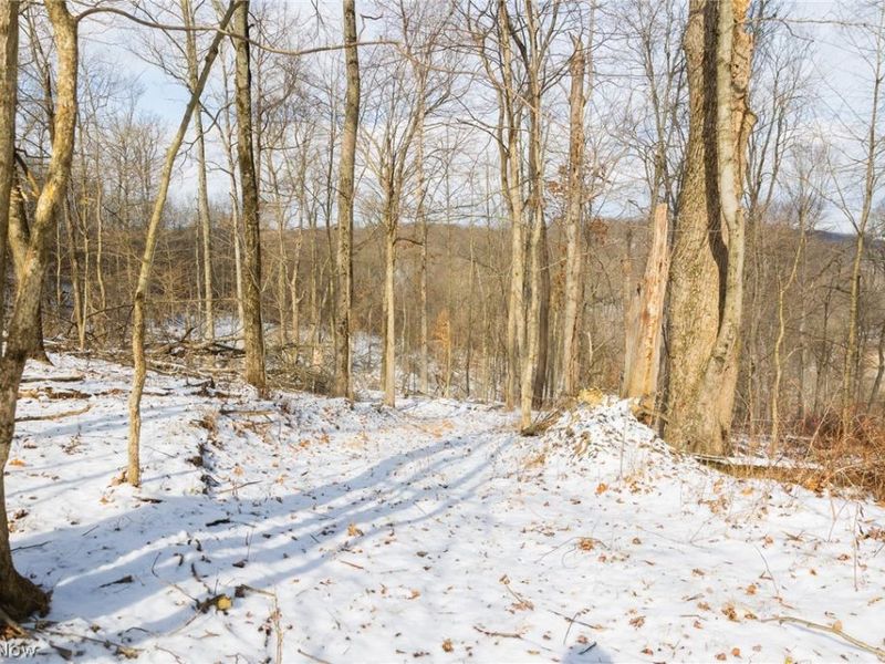 15550 Hunter Road, Danville, OH 43014 Photo 13