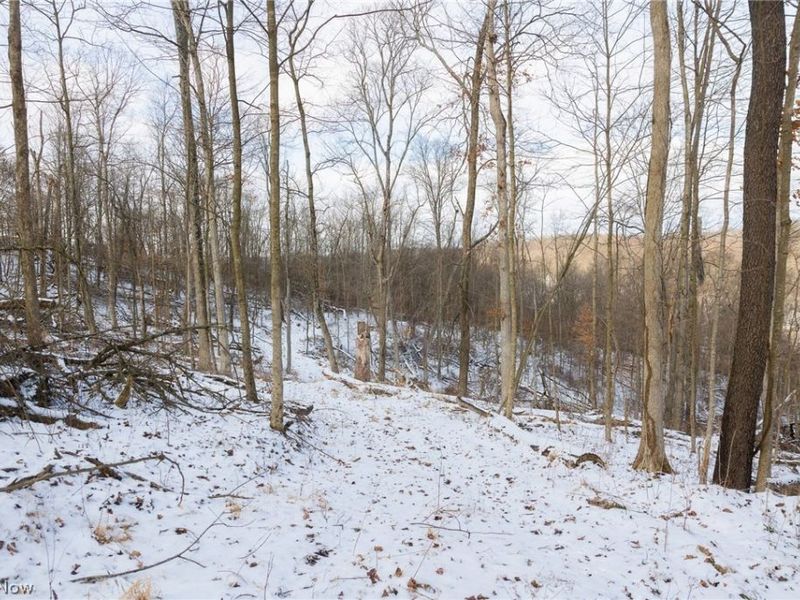 15550 Hunter Road, Danville, OH 43014 Photo 14