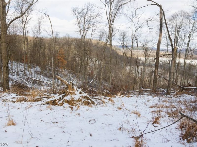 15550 Hunter Road, Danville, OH 43014 Photo 16