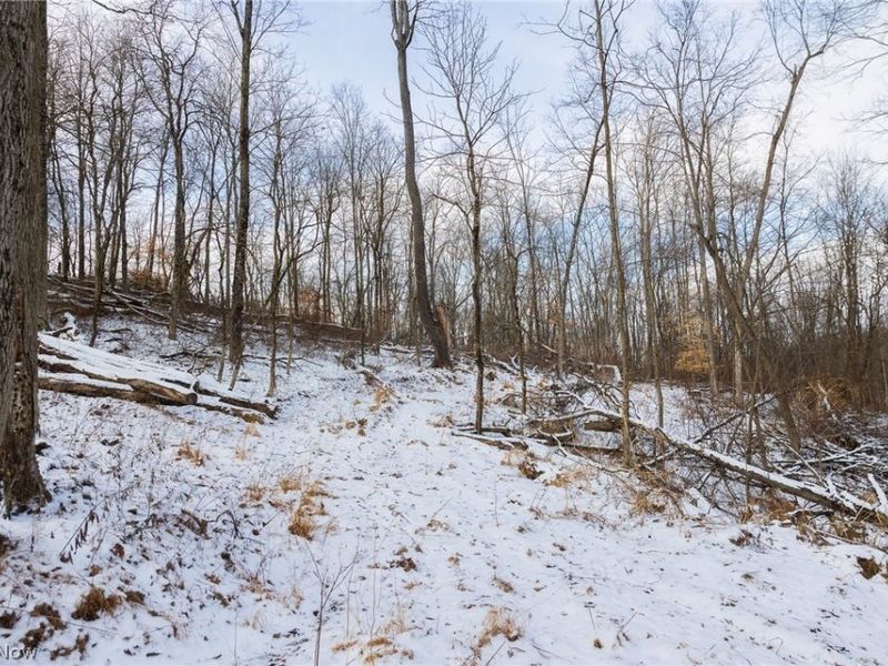 15550 Hunter Road, Danville, OH 43014 Photo 17