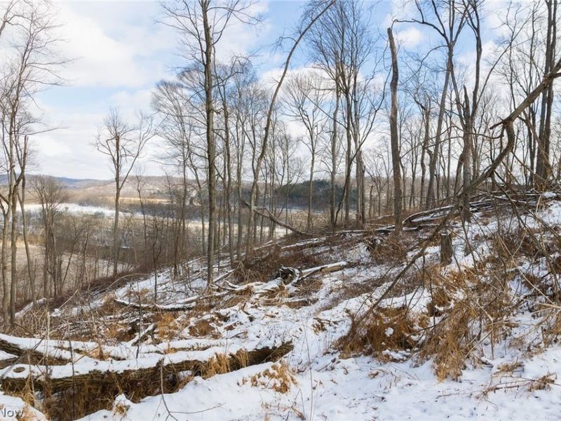 15550 Hunter Road, Danville, OH 43014 Photo 18