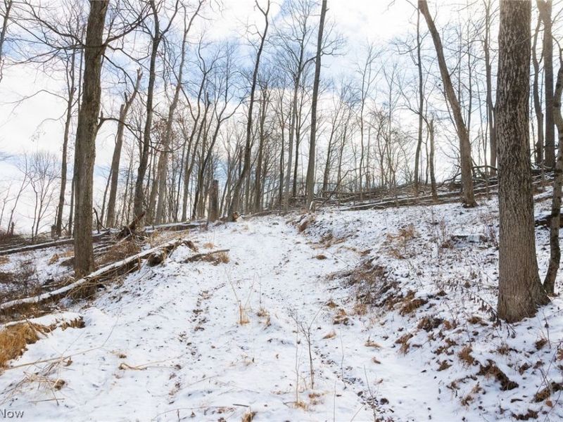 15550 Hunter Road, Danville, OH 43014 Photo 19