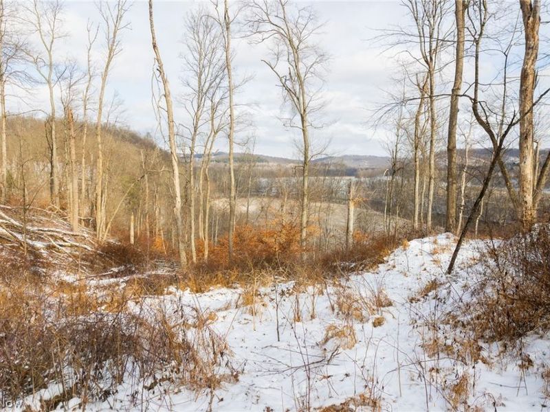 15550 Hunter Road, Danville, OH 43014 Photo 20