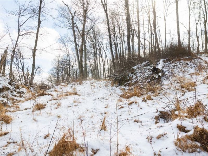 15550 Hunter Road, Danville, OH 43014 Photo 21