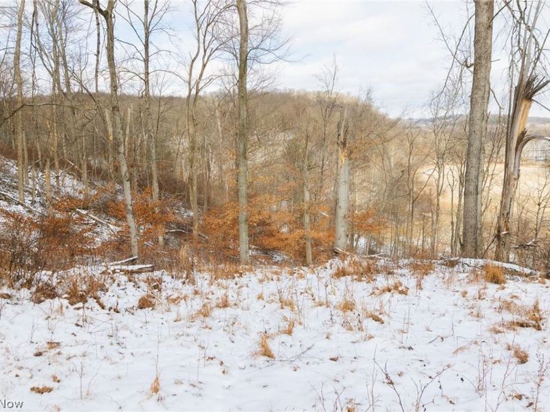 15550 Hunter Road, Danville, OH 43014 Photo 22