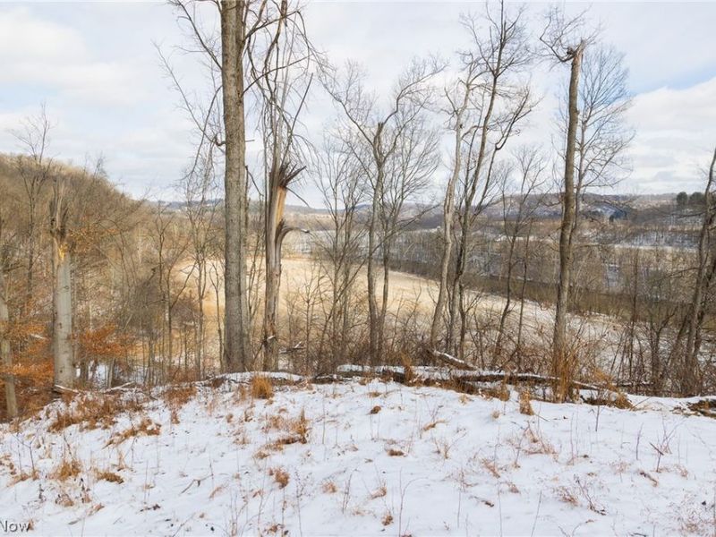 15550 Hunter Road, Danville, OH 43014 Photo 23