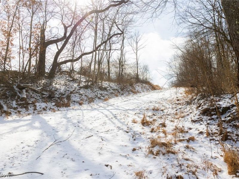 15550 Hunter Road, Danville, OH 43014 Photo 3