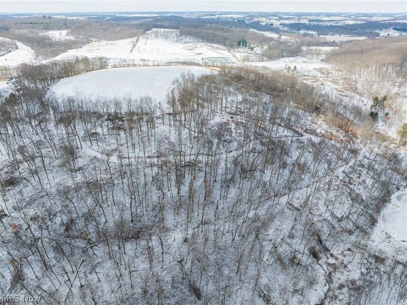 15550 Hunter Road, Danville, OH 43014 Photo 34