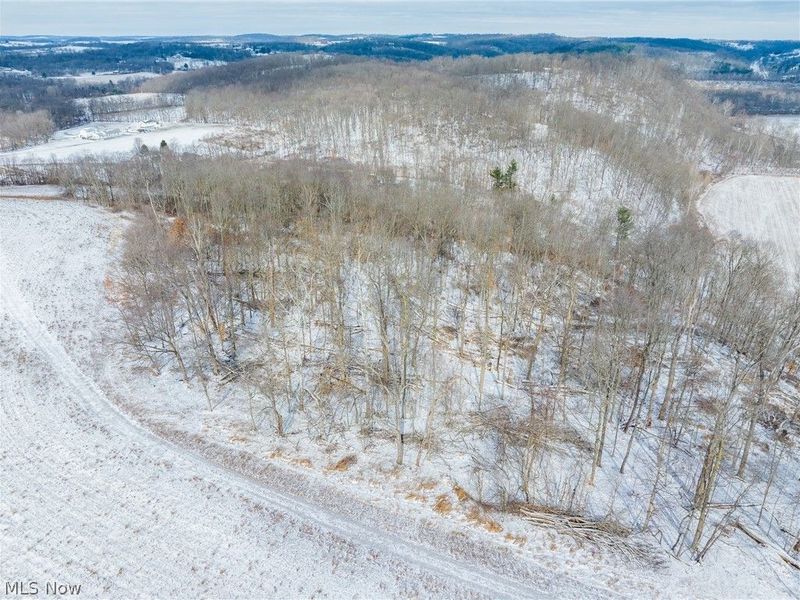 15550 Hunter Road, Danville, OH 43014 Photo 38