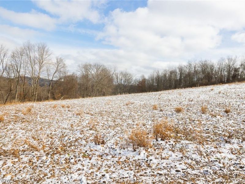 15550 Hunter Road, Danville, OH 43014 Photo 4