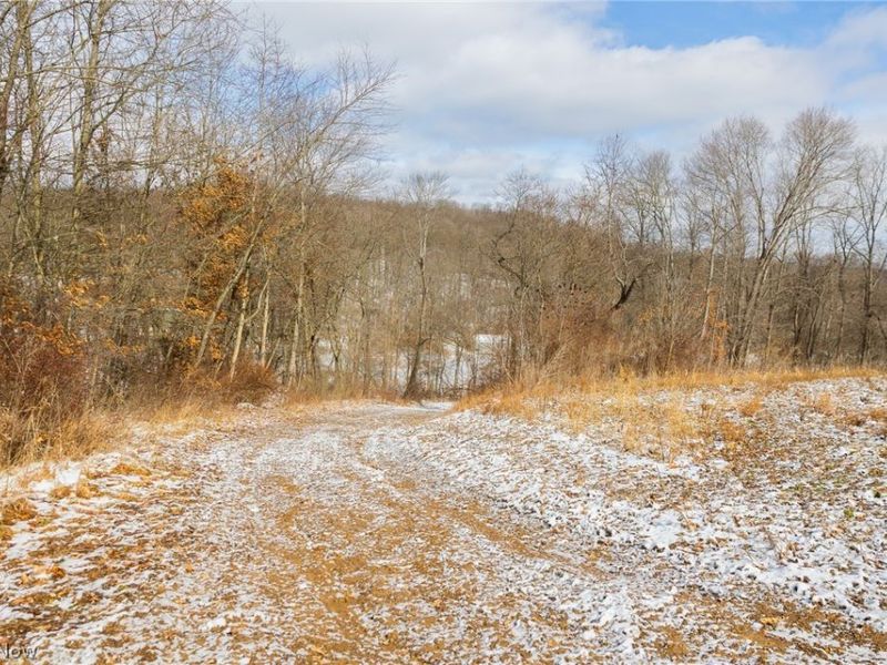 15550 Hunter Road, Danville, OH 43014 Photo 5