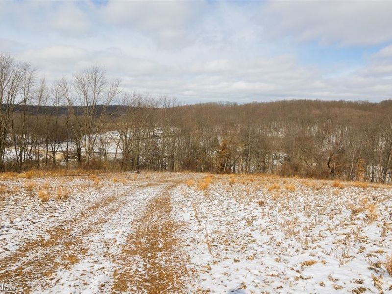 15550 Hunter Road, Danville, OH 43014 Photo 6