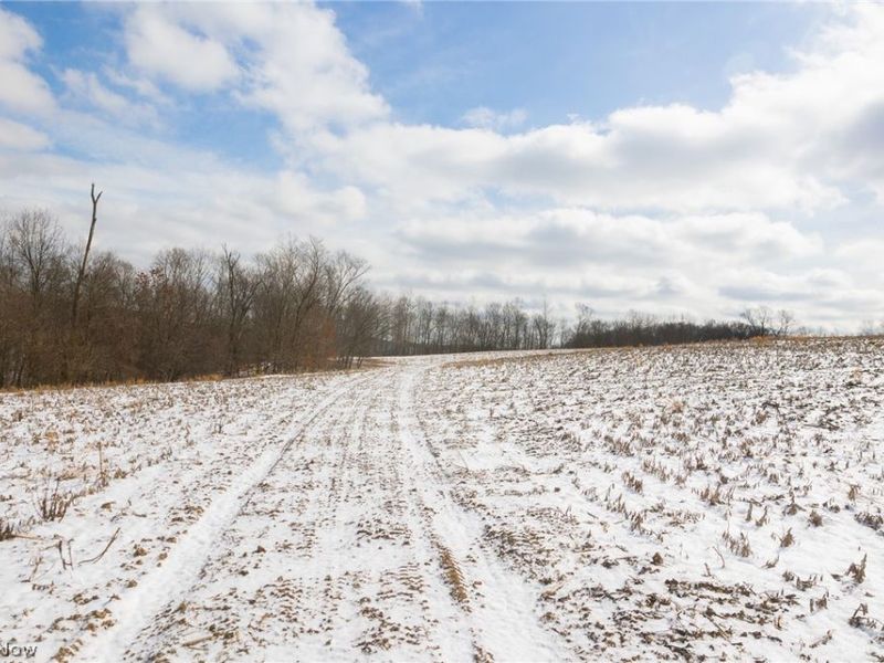 15550 Hunter Road, Danville, OH 43014 Photo 8