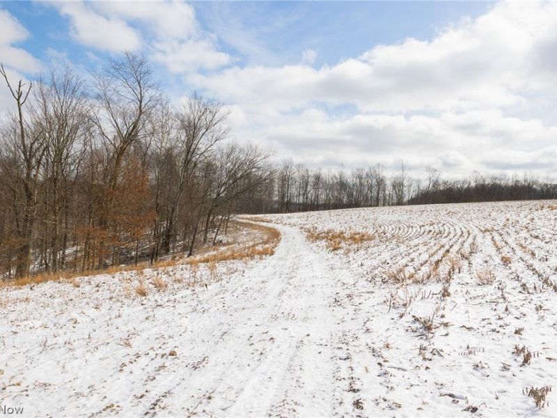 15550 Hunter Road, Danville, OH 43014 Photo 9