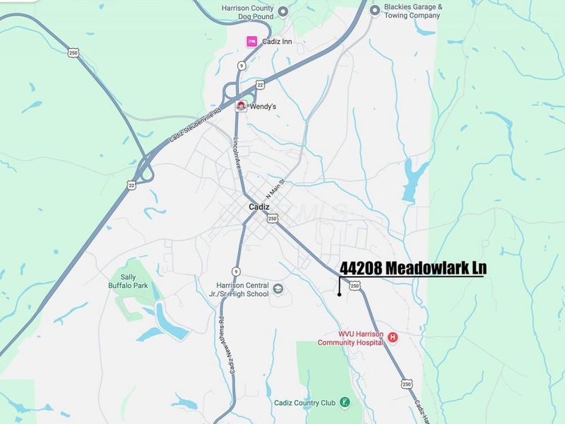 44208 Meadowlark Lane, Cadiz, OH 43907 Photo 3