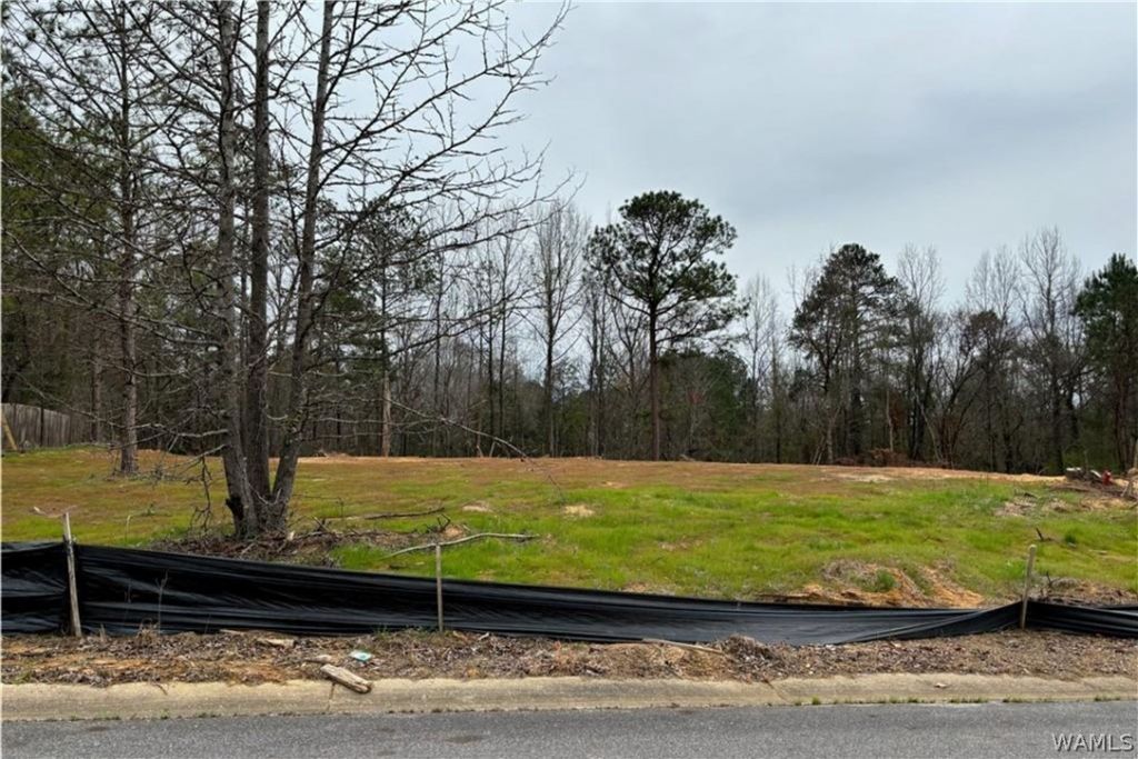 0 River Point Lane, Tuscaloosa, AL 35405 Main Photo